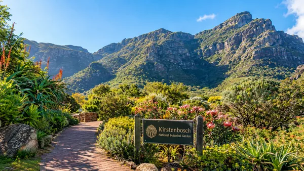 Kirstenbosch National Botanical Garden